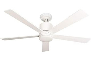 41SRghaYlfL._AC_UL320_