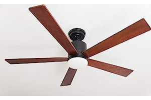 515VWVSQkCL._AC_UL320_