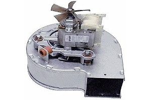 51HjfM9s5dL._AC_UL320_