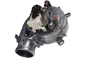 51x7RltfdUL._AC_UL320_