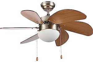 71PHec-ebgL._AC_UL320_